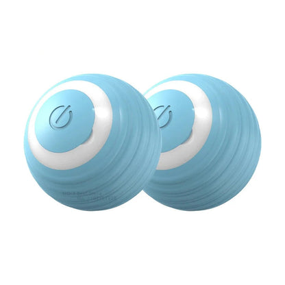 Interactive Ball Toy