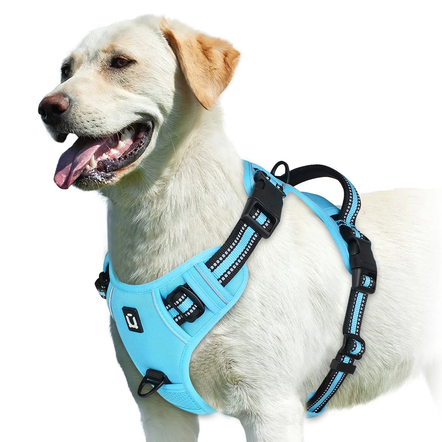 No-Pull Padded Harness
