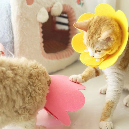 Cat Recovery Cone Collar