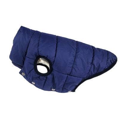 Small Dog Winter Jacket