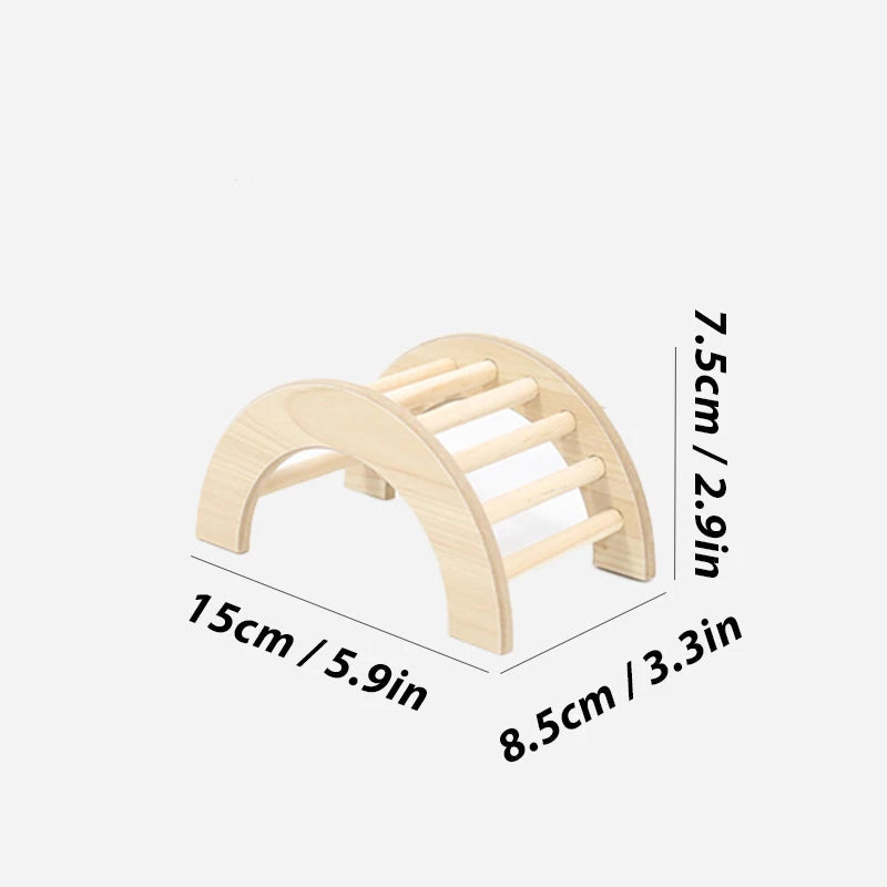 Hamster Climbing Ladder