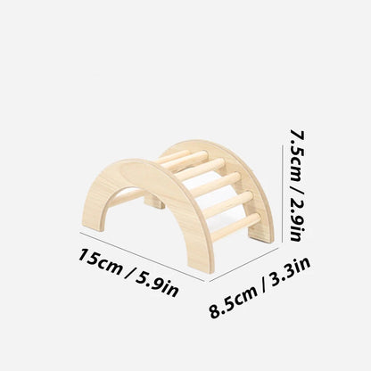 Hamster Climbing Ladder