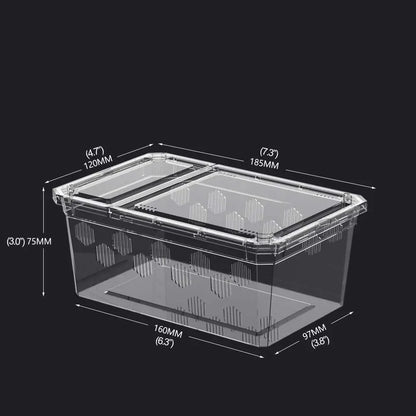 Reptile Breeding Box