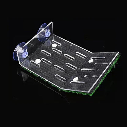 Turtle Moss Platform