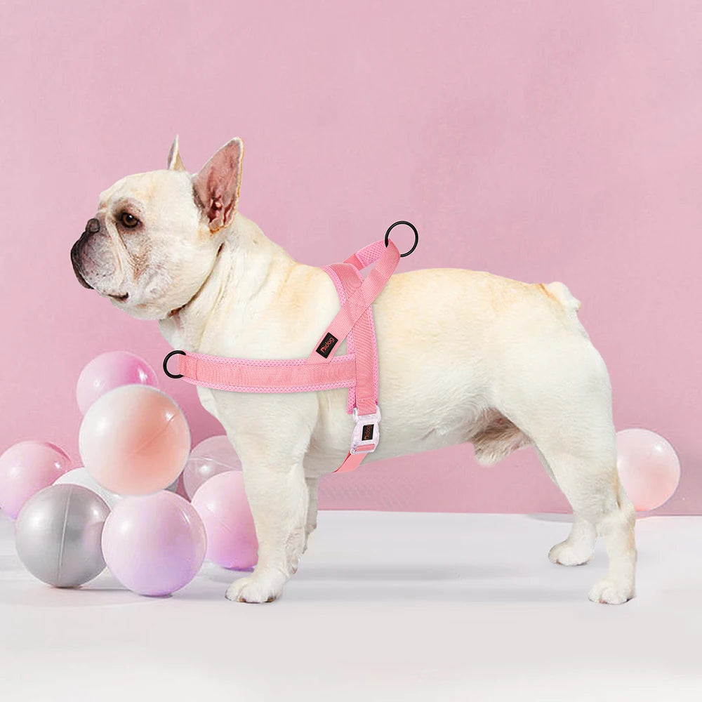 Soft No-Pull Nylon Harness