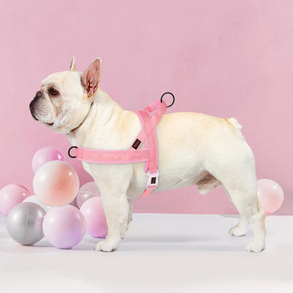 Soft No-Pull Nylon Harness