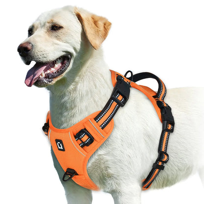 No-Pull Padded Harness