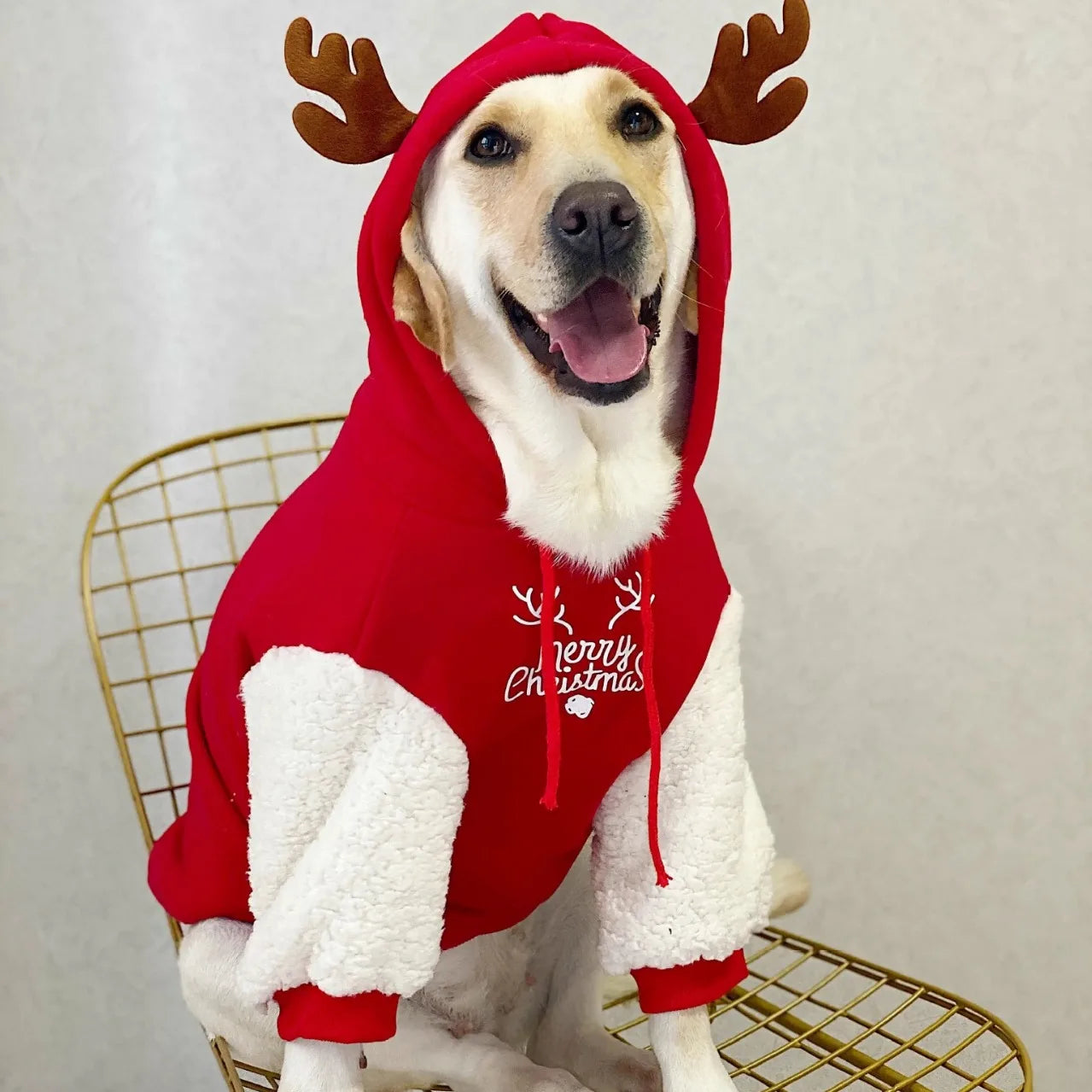Dog Christmas Sweatshirt 1