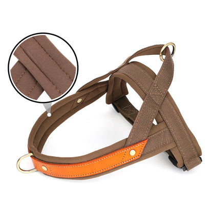 Reflective No-Pull Padded Harness