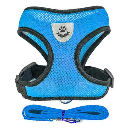 Adjustable Harness Set – Breathable Vest with Leash