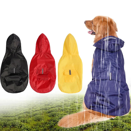 Raincoat