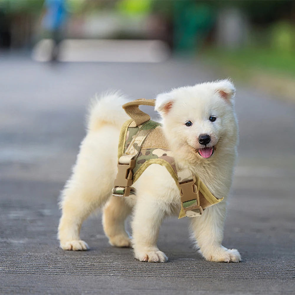 Tactical Puppy & Small Dog Harness Set