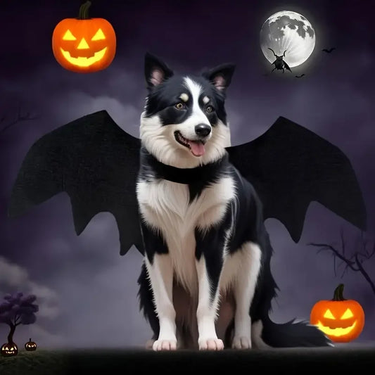 Pet Bat Wings