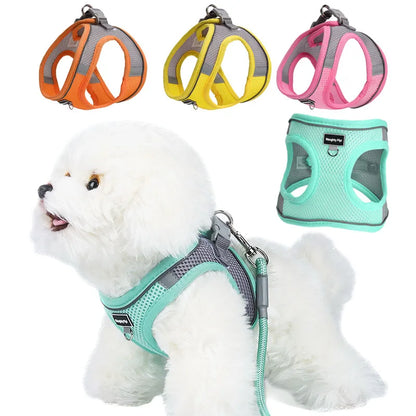 Adjustable Harness Set – Breathable Vest with Leash