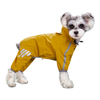 Raincoat 4