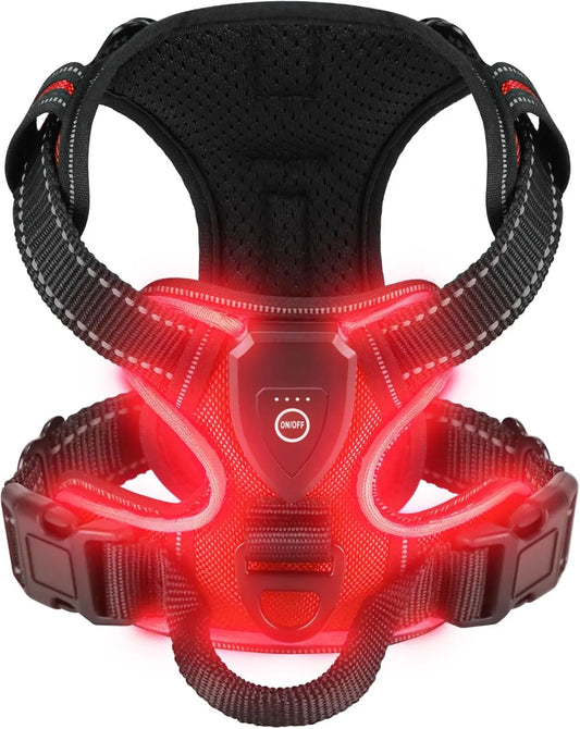 LED Luminous Harness