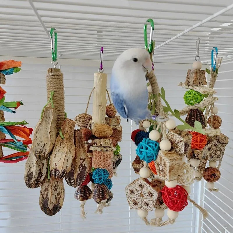 Parrot Toy