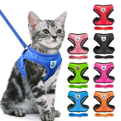 Cat Harness and Leash 2