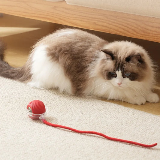 Rechargeable Interactive Ball for Cats & Small Dogs