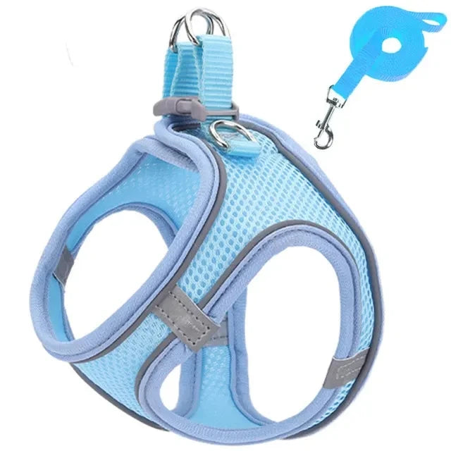 Reflective Dog Harness & Leash Set