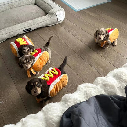 Hot Dog Pet Costume