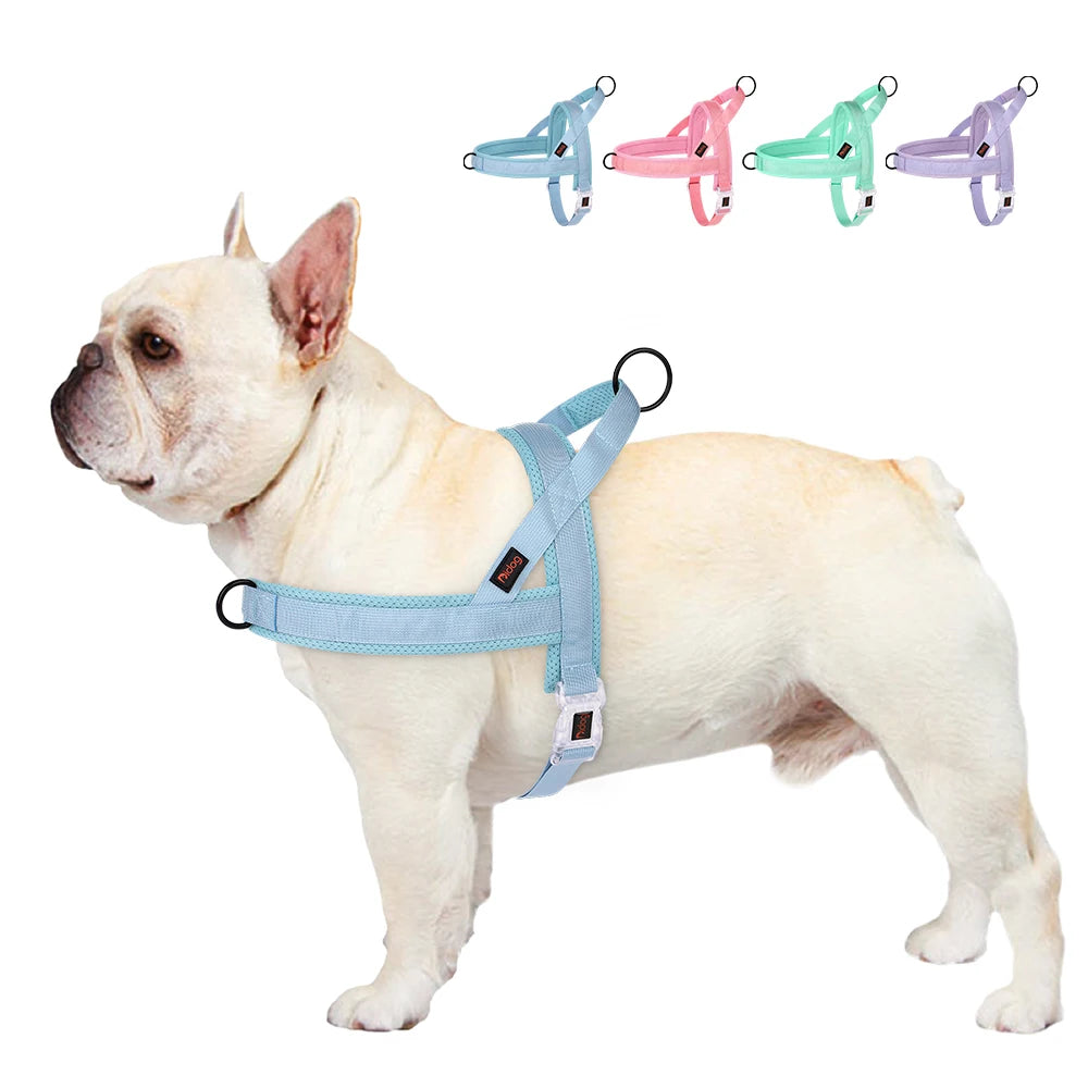 Soft No-Pull Nylon Harness