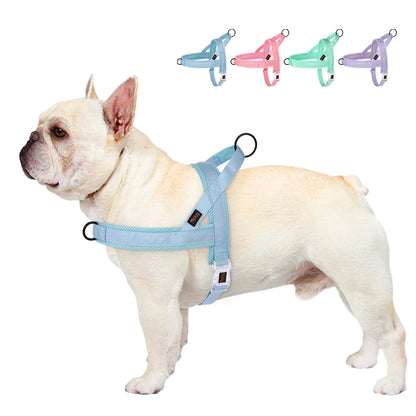 Soft No-Pull Nylon Harness