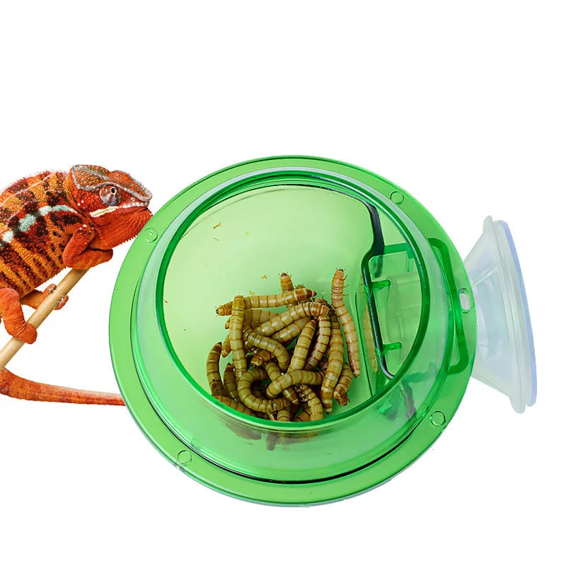 Reptile Feeder Ball