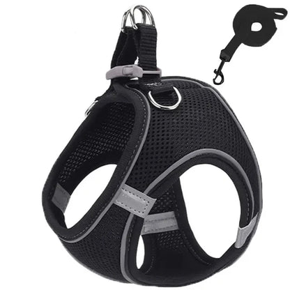 Reflective Dog Harness & Leash Set