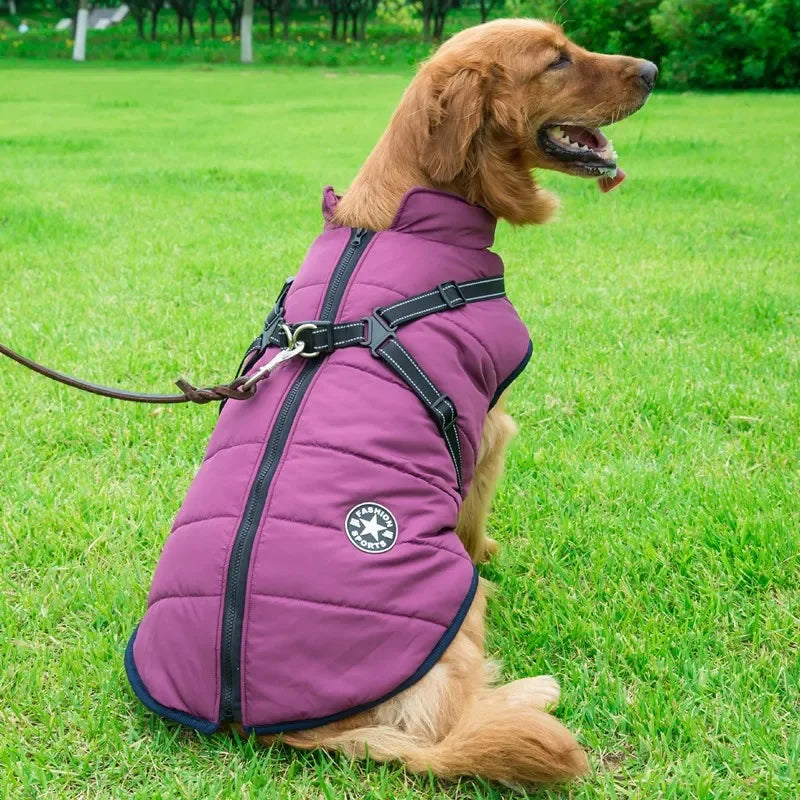 Large Dog Winter Jacket
