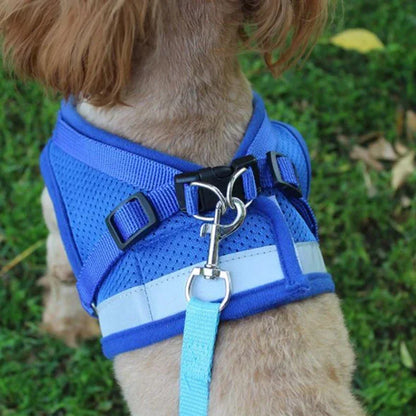 Adjustable Mesh Vest Harness & Leash Set