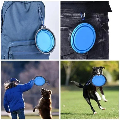 Collapsible Dog Bowl 1