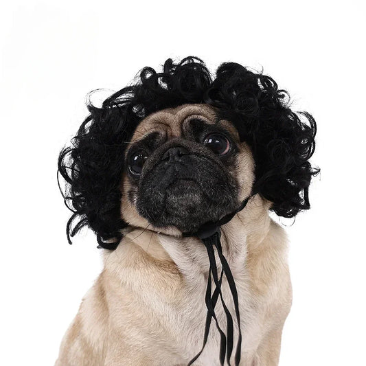 DIY Pet Wig