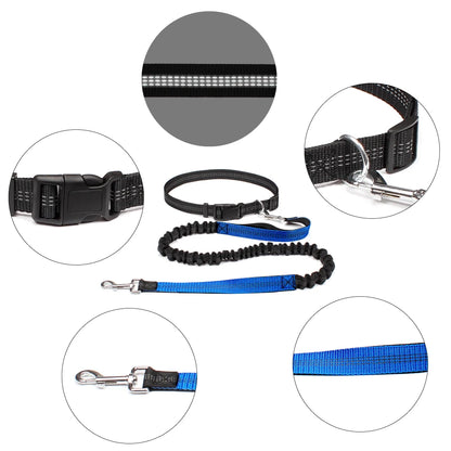Hand Free Leash for Jogging