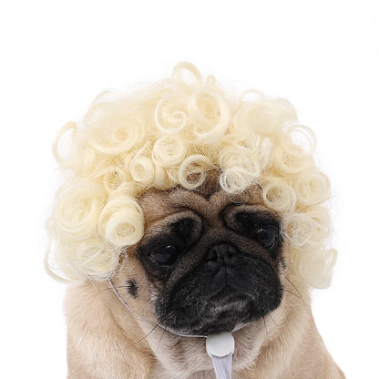 DIY Pet Wig