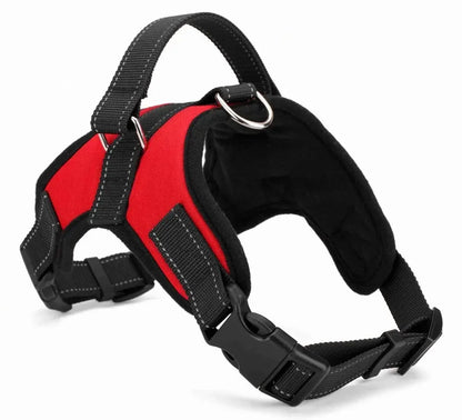 Quick-Release Nylon Harness