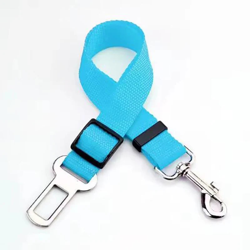 Car Safety Seat Belt Leash