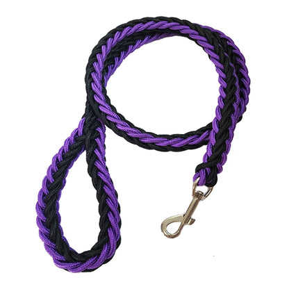 Nylon Leash