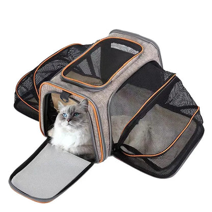 Dog Carrier 10