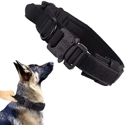 Tactical Training Collar and Leash Set