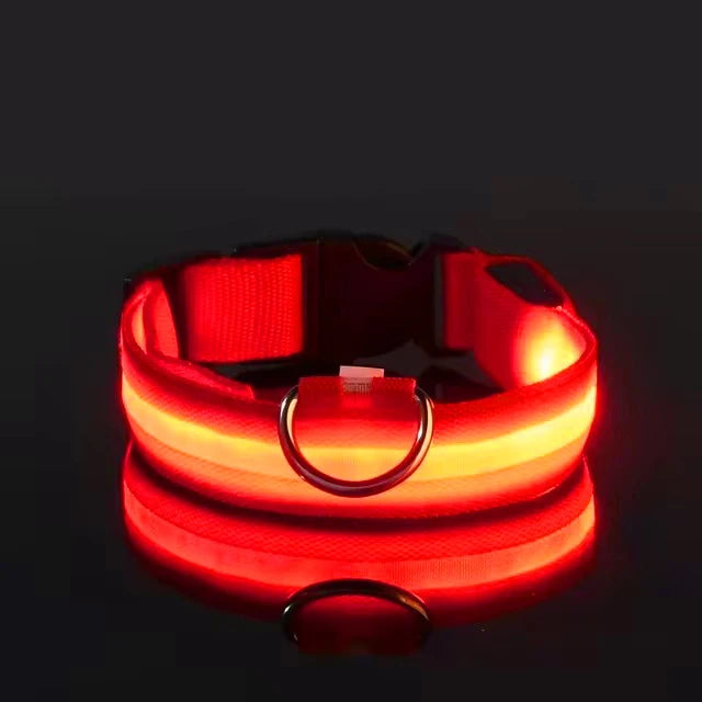 Led Glowing Collar