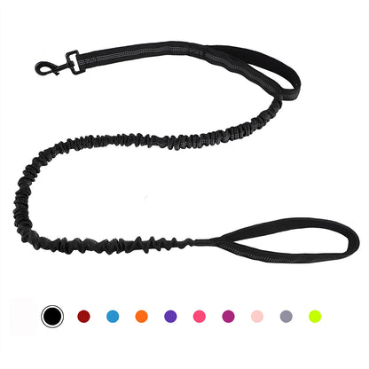 Bungee Leash with Shock Absorption