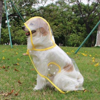 Small Dog Raincoat