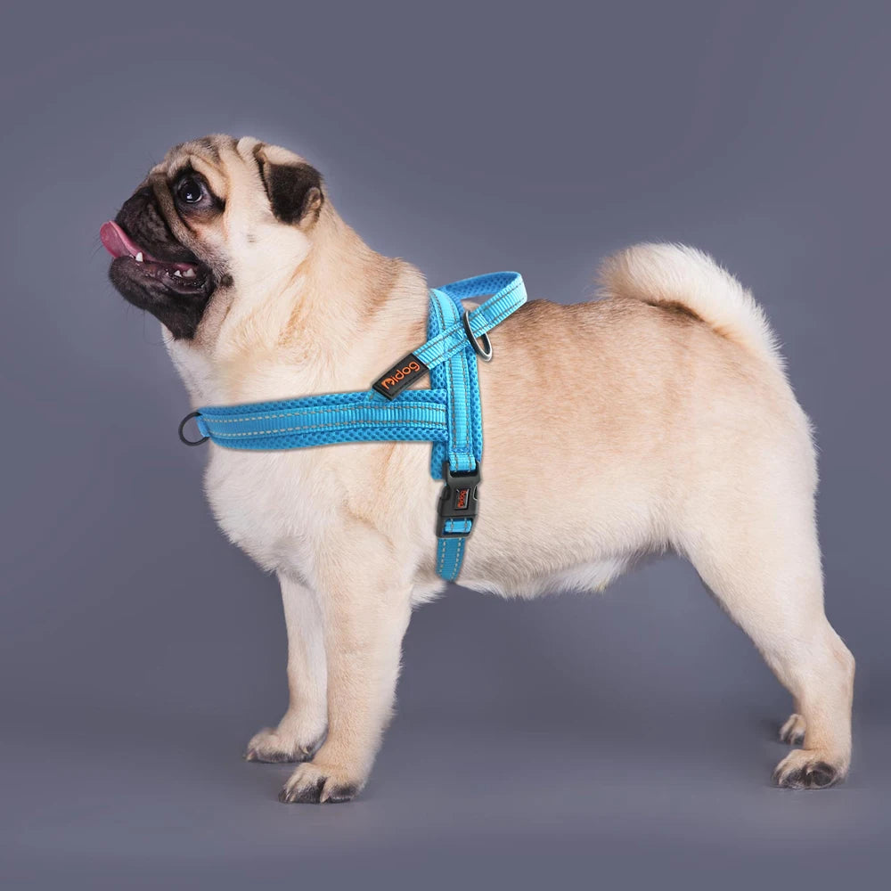 Reflective No-Pull Padded Harness