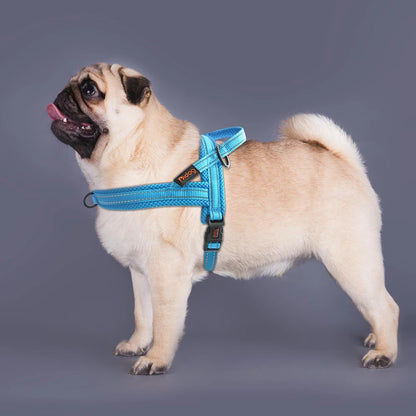 Reflective No-Pull Padded Harness