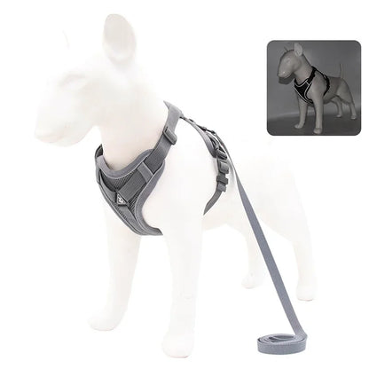 No-Pull Reflective Harness Set
