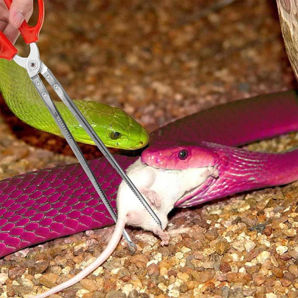 Snake Feeding Tongs (Long)