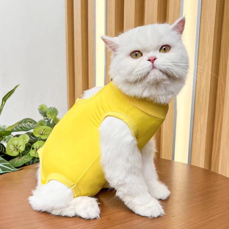 Cat Care Recovery Suit 2