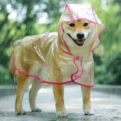 Raincoat 2