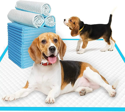 Pet Diaper Pads